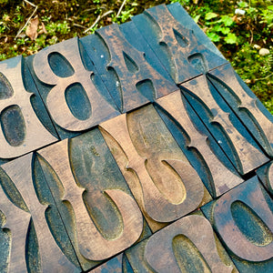 18 Line (3”) Ornamented Wood Type